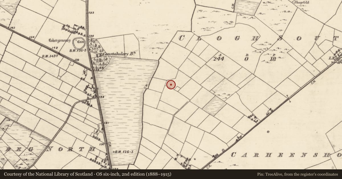 Ordnance Survey six-inch map, 2nd edition (1888–1915) covering the location of Barrow - unclassified, Clogh South, County Galway, with a pin at the register's coordinates
