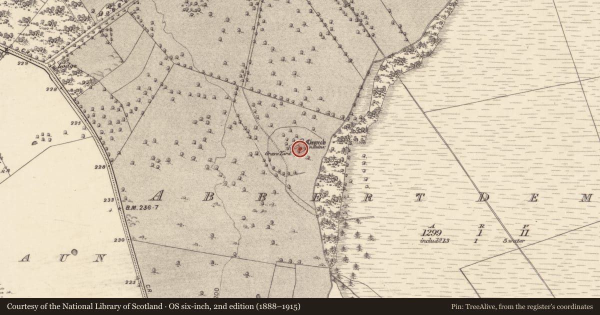 Ordnance Survey six-inch map, 2nd edition (1888–1915) covering the location of Graveyard, Abbert Demesne, County Galway, with a pin at the register's coordinates