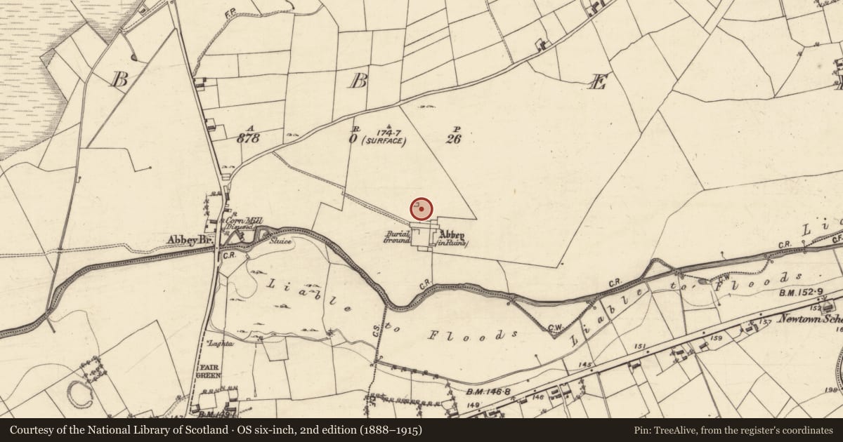 Ordnance Survey six-inch map, 2nd edition (1888–1915) covering the location of Building, Abbey, County Galway, with a pin at the register's coordinates