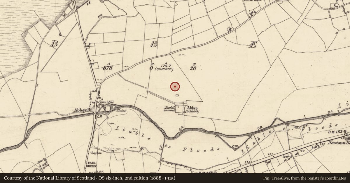 Ordnance Survey six-inch map, 2nd edition (1888–1915) covering the location of Field system, Abbey, County Galway, with a pin at the register's coordinates