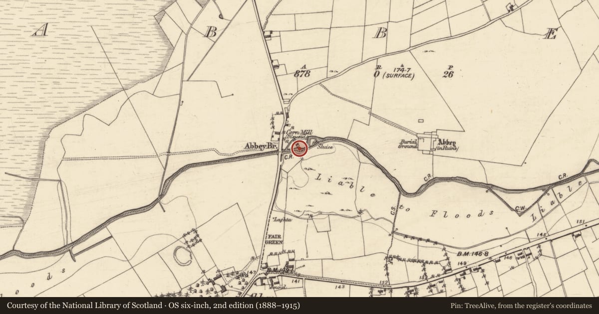 Ordnance Survey six-inch map, 2nd edition (1888–1915) covering the location of Mill - corn, Abbey, County Galway, with a pin at the register's coordinates