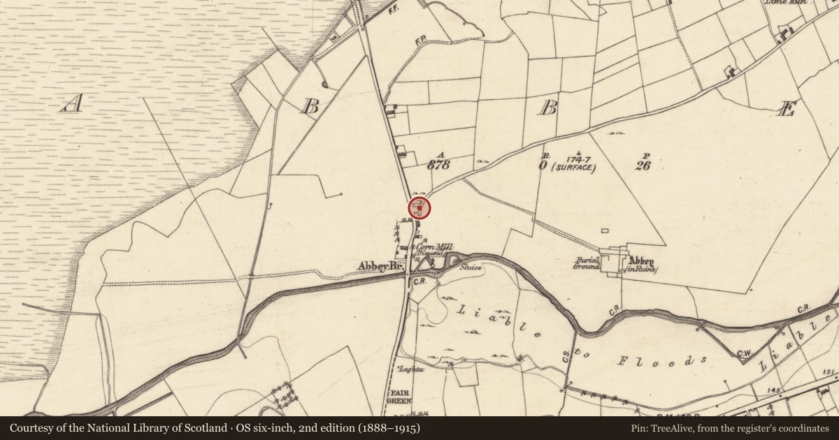 Ordnance Survey six-inch map, 2nd edition (1888–1915) covering the location of Chapel, Abbey, County Galway, with a pin at the register's coordinates