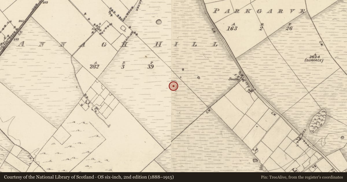 Ordnance Survey six-inch map, 2nd edition (1888–1915) covering the location of Enclosure, Annagh Hill, County Galway, with a pin at the register's coordinates