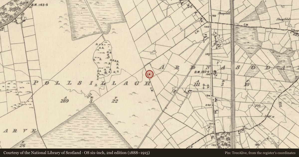 Ordnance Survey six-inch map, 2nd edition (1888–1915) covering the location of Ringfort - unclassified, Ardnasodan, County Galway, with a pin at the register's coordinates