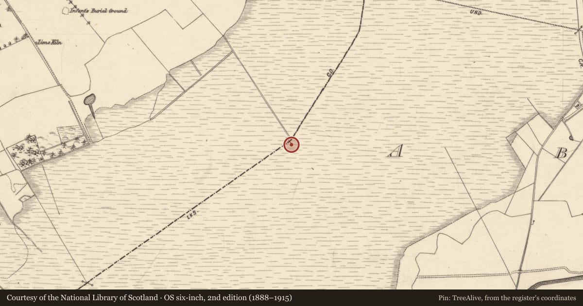 Ordnance Survey six-inch map, 2nd edition (1888–1915) covering the location of Boundary mound, Abbey, Ballina, County Galway, with a pin at the register's coordinates