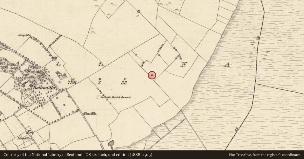 Ordnance Survey six-inch map, 2nd edition (1888–1915) covering the location of House - 17th century, Ballina, County Galway, with a pin at the register's coordinates