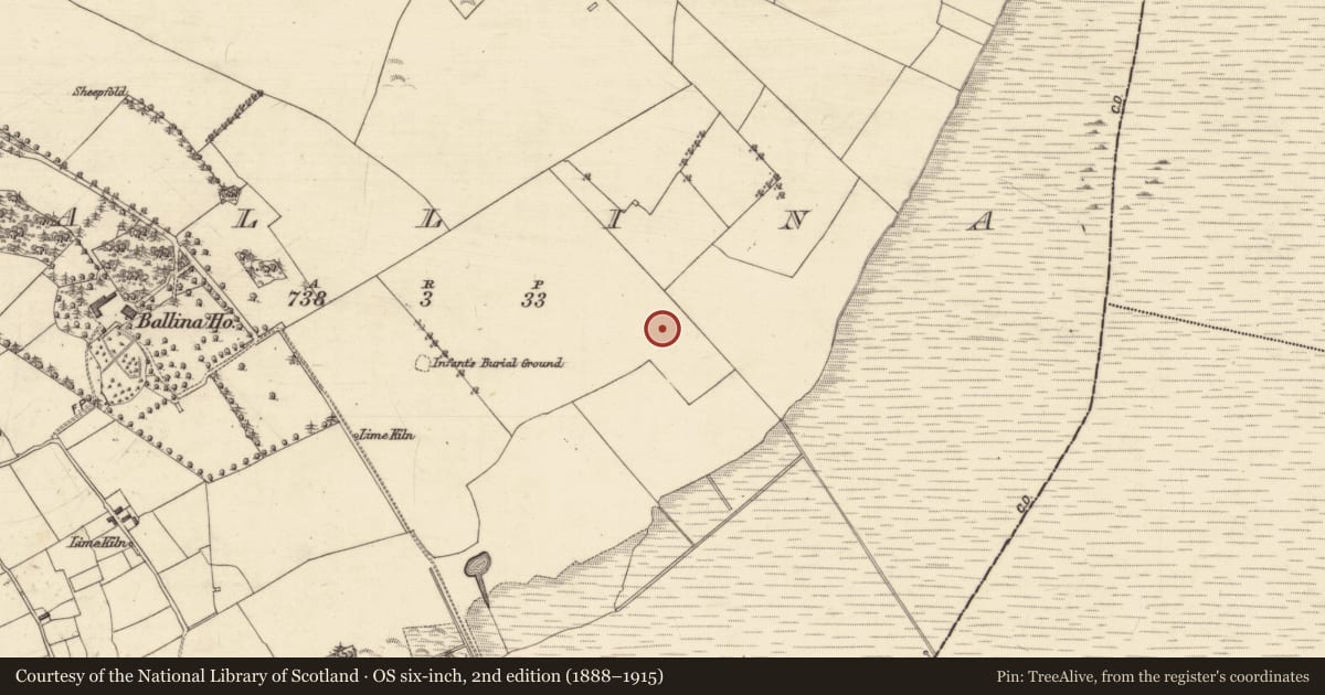 Ordnance Survey six-inch map, 2nd edition (1888–1915) covering the location of Castle - unclassified, Ballina, County Galway, with a pin at the register's coordinates