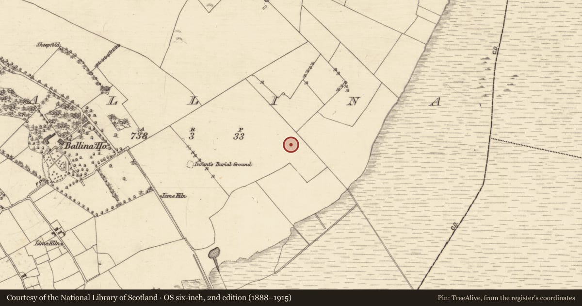 Ordnance Survey six-inch map, 2nd edition (1888–1915) covering the location of Field system, Ballina, County Galway, with a pin at the register's coordinates