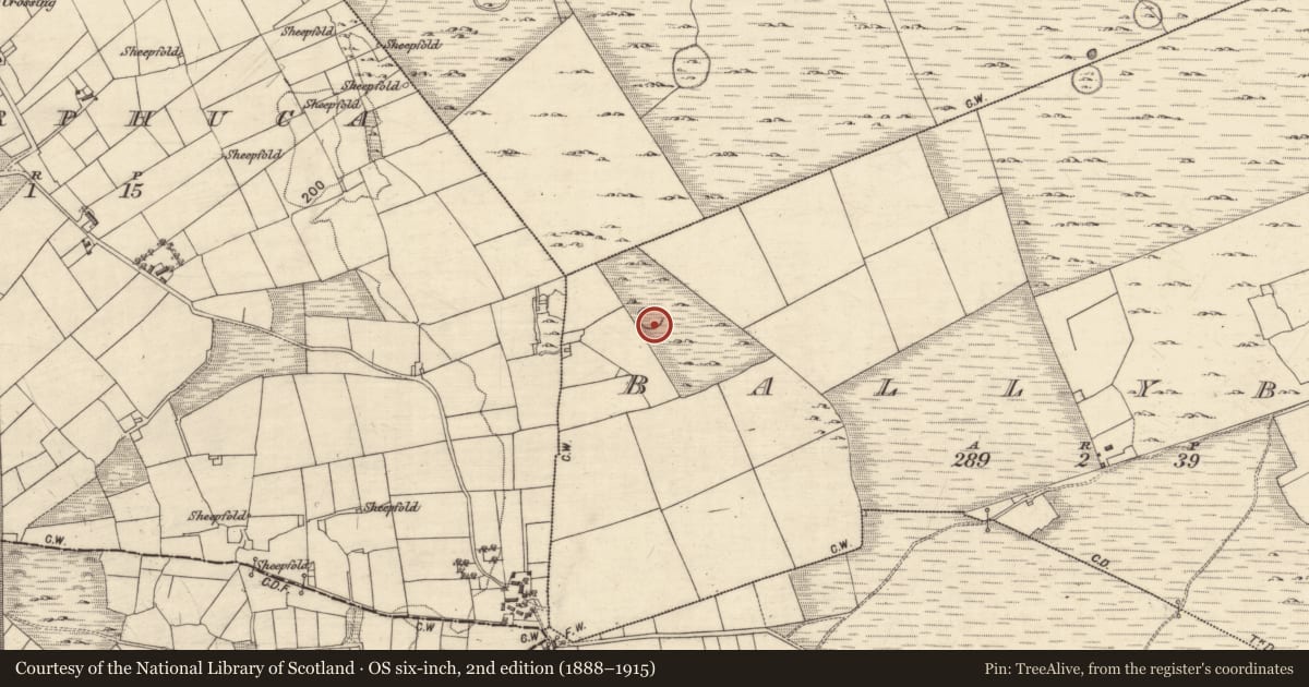 Ordnance Survey six-inch map, 2nd edition (1888–1915) covering the location of Ringfort - cashel, Ballybaun, County Galway, with a pin at the register's coordinates