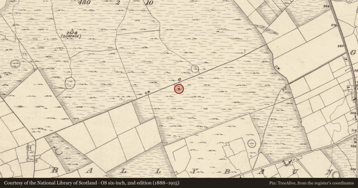 Ordnance Survey six-inch map, 2nd edition (1888–1915) covering the location of Ringfort - unclassified, Ballybaun, County Galway, with a pin at the register's coordinates