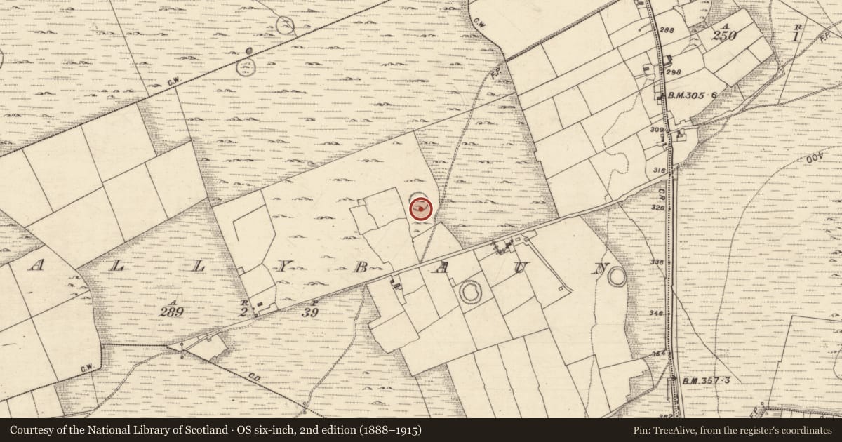 Ordnance Survey six-inch map, 2nd edition (1888–1915) covering the location of Ringfort - unclassified, Ballybaun, County Galway, with a pin at the register's coordinates