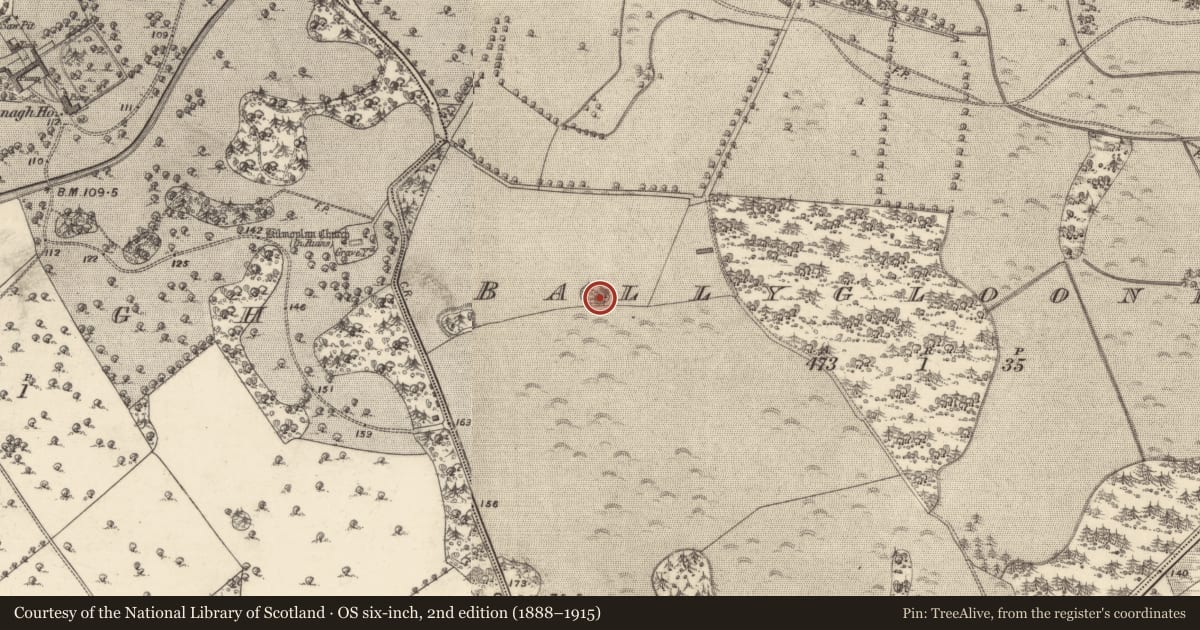 Ordnance Survey six-inch map, 2nd edition (1888–1915) covering the location of Designed landscape - tree-ring, Ballyglooneen, County Galway, with a pin at the register's coordinates