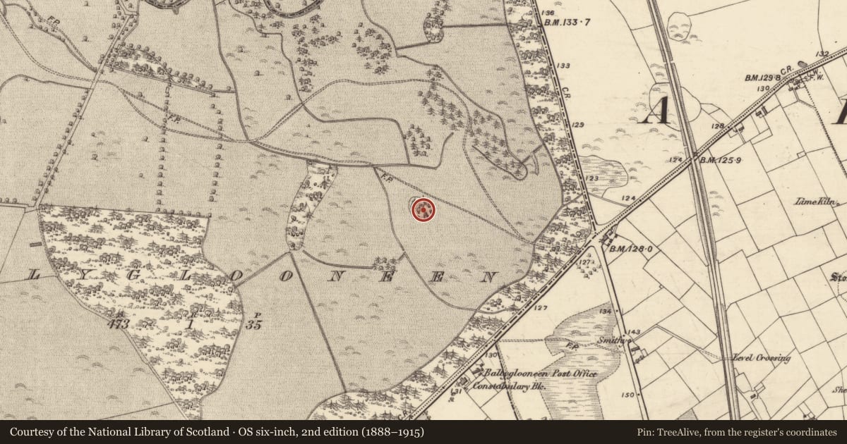 Ordnance Survey six-inch map, 2nd edition (1888–1915) covering the location of Designed landscape - tree-ring, Ballyglooneen, County Galway, with a pin at the register's coordinates