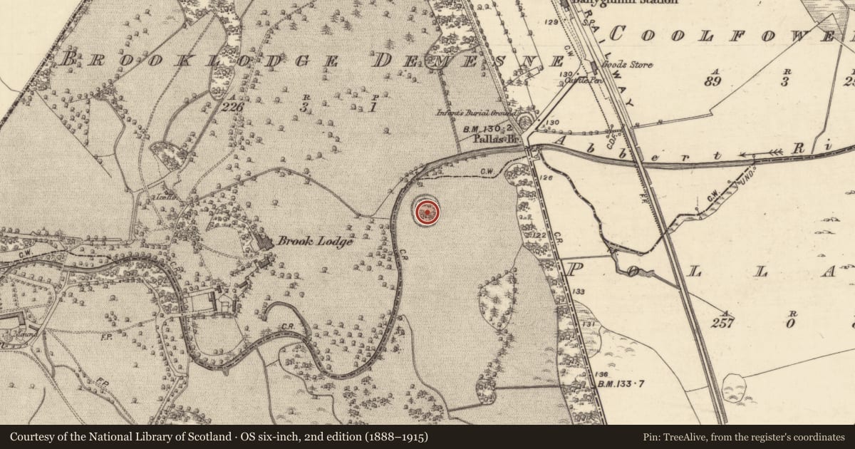 Ordnance Survey six-inch map, 2nd edition (1888–1915) covering the location of Designed landscape - tree-ring, Ballyglooneen, County Galway, with a pin at the register's coordinates