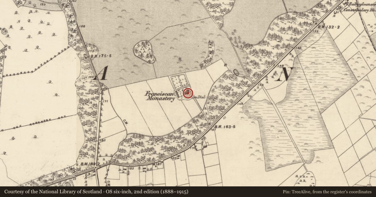 Ordnance Survey six-inch map, 2nd edition (1888–1915) covering the location of Religious house - unclassified, Ballyglooneen, County Galway, with a pin at the register's coordinates