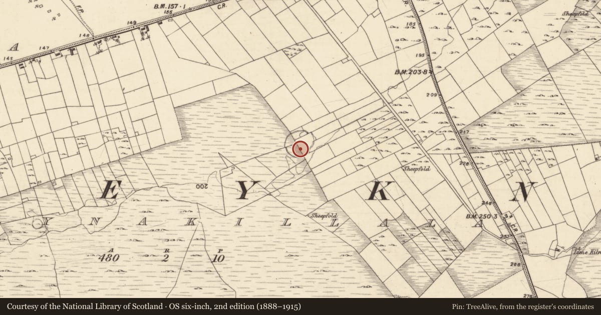 Ordnance Survey six-inch map, 2nd edition (1888–1915) covering the location of Ringfort - unclassified, Ballynakilla, County Galway, with a pin at the register's coordinates