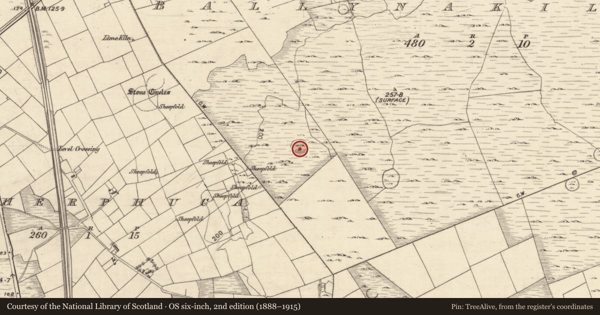 Ordnance Survey six-inch map, 2nd edition (1888–1915) covering the location of Enclosure, Ballynakilla, County Galway, with a pin at the register's coordinates