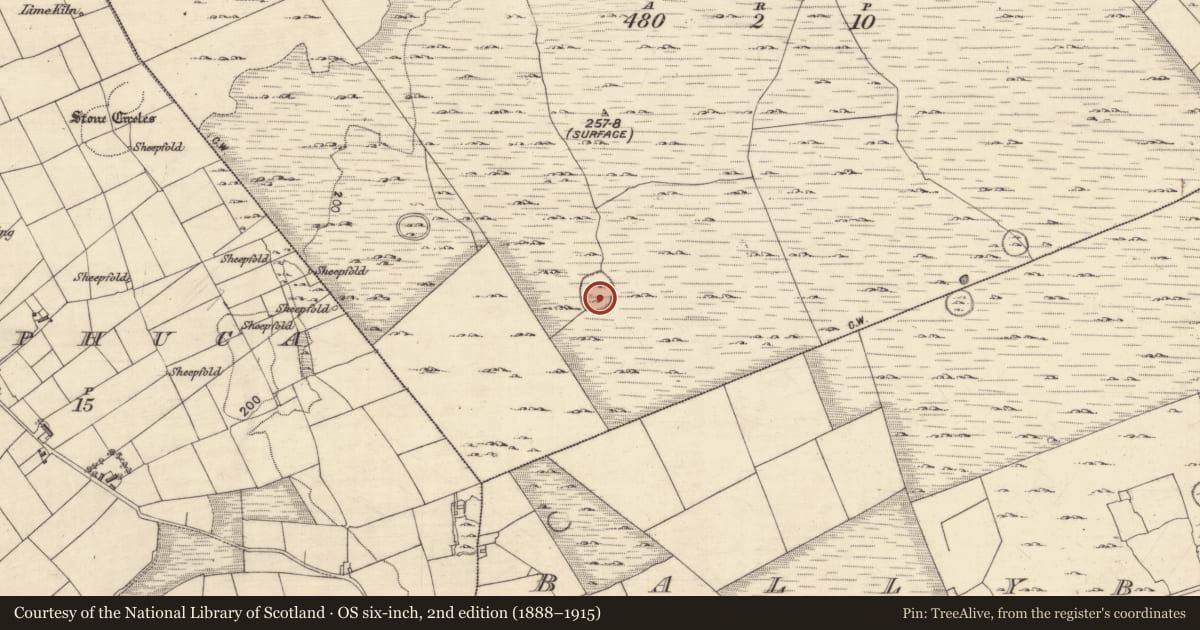 Ordnance Survey six-inch map, 2nd edition (1888–1915) covering the location of Enclosure, Ballynakilla, County Galway, with a pin at the register's coordinates