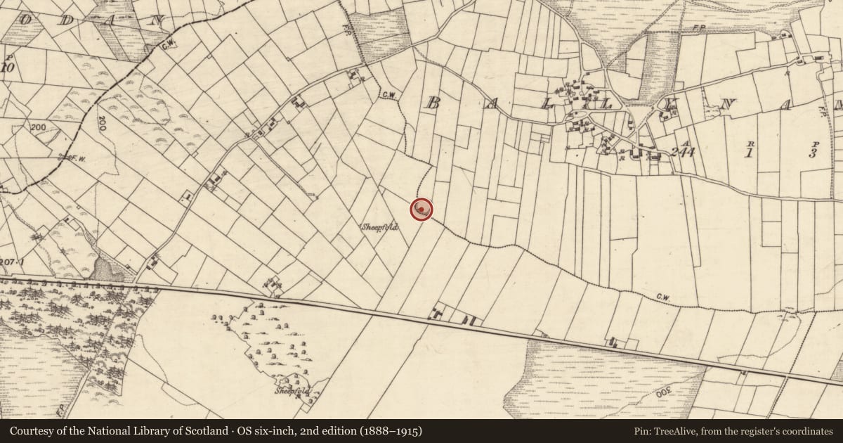 Ordnance Survey six-inch map, 2nd edition (1888–1915) covering the location of Enclosure, Ballynamona, Crumlin, County Galway, with a pin at the register's coordinates