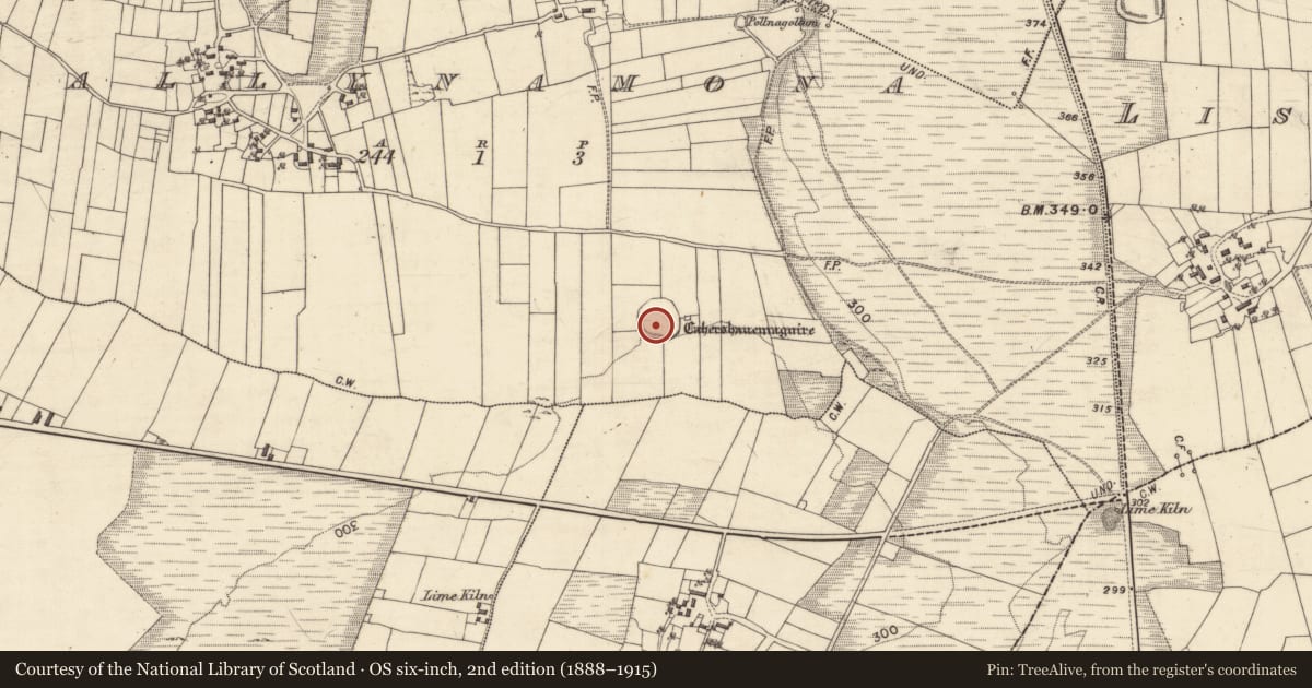 Ordnance Survey six-inch map, 2nd edition (1888–1915) covering the location of Ringfort - cashel, Ballynamona, County Galway, with a pin at the register's coordinates