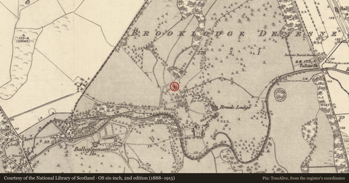 Ordnance Survey six-inch map, 2nd edition (1888–1915) covering the location of Icehouse, Brooklodge Demesne, County Galway, with a pin at the register's coordinates