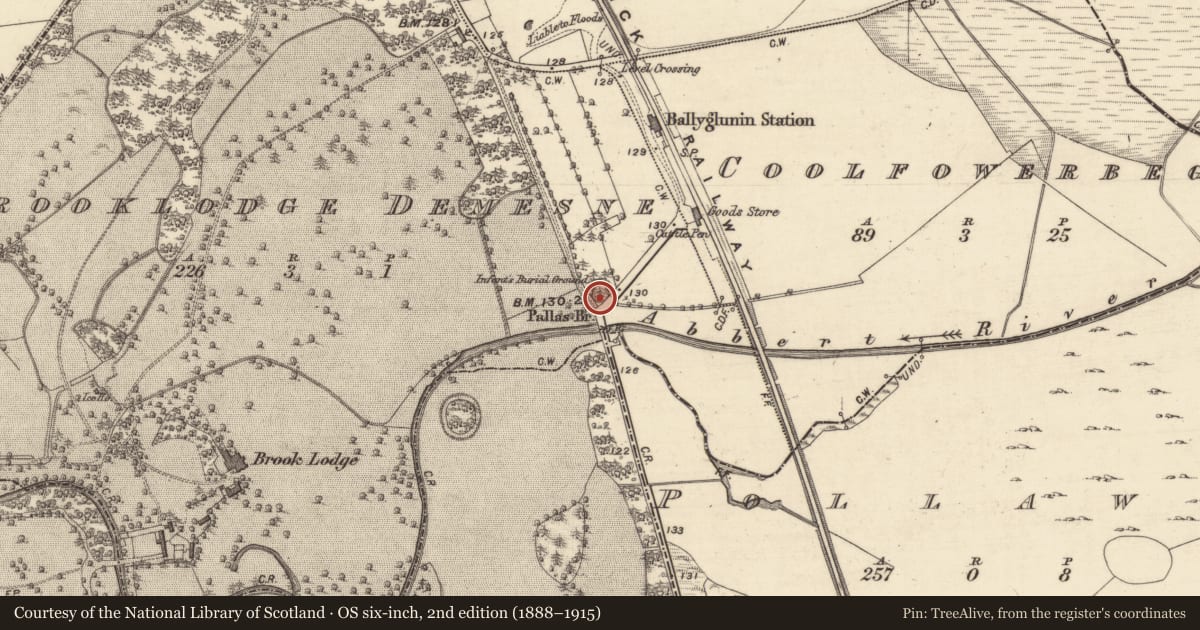 Ordnance Survey six-inch map, 2nd edition (1888–1915) covering the location of Ringfort - rath, Brooklodge Demesne, County Galway, with a pin at the register's coordinates