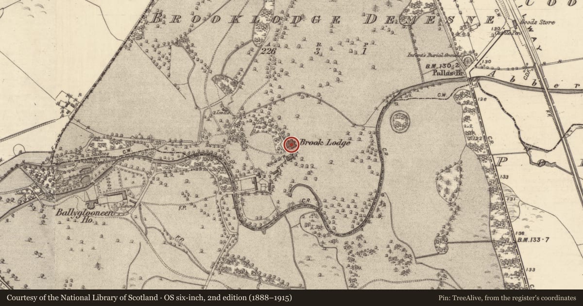 Ordnance Survey six-inch map, 2nd edition (1888–1915) covering the location of Country house, Brooklodge Demesne, County Galway, with a pin at the register's coordinates