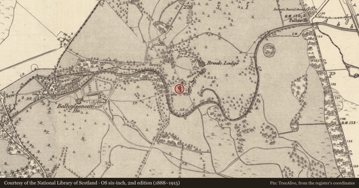 Ordnance Survey six-inch map, 2nd edition (1888–1915) covering the location of Castle - tower house, Brooklodge Demesne, County Galway, with a pin at the register's coordinates