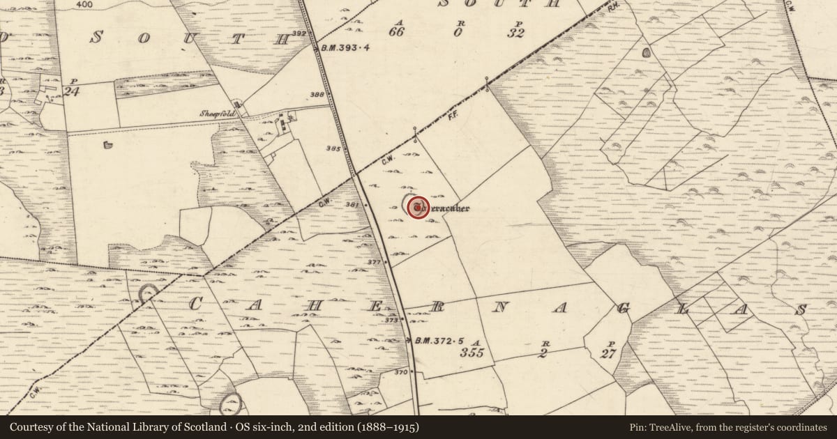 Ordnance Survey six-inch map, 2nd edition (1888–1915) covering the location of Ringfort - cashel, Cahernaglass, County Galway, with a pin at the register's coordinates