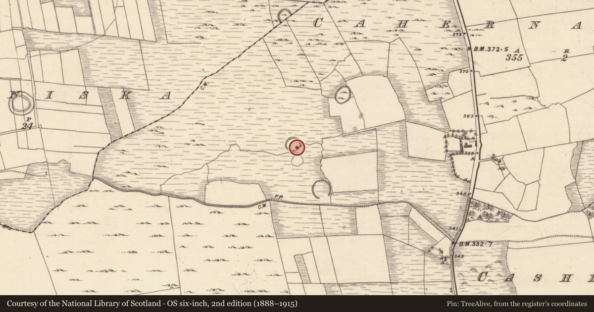 Ordnance Survey six-inch map, 2nd edition (1888–1915) covering the location of Ringfort - cashel, Cahernaglass, County Galway, with a pin at the register's coordinates