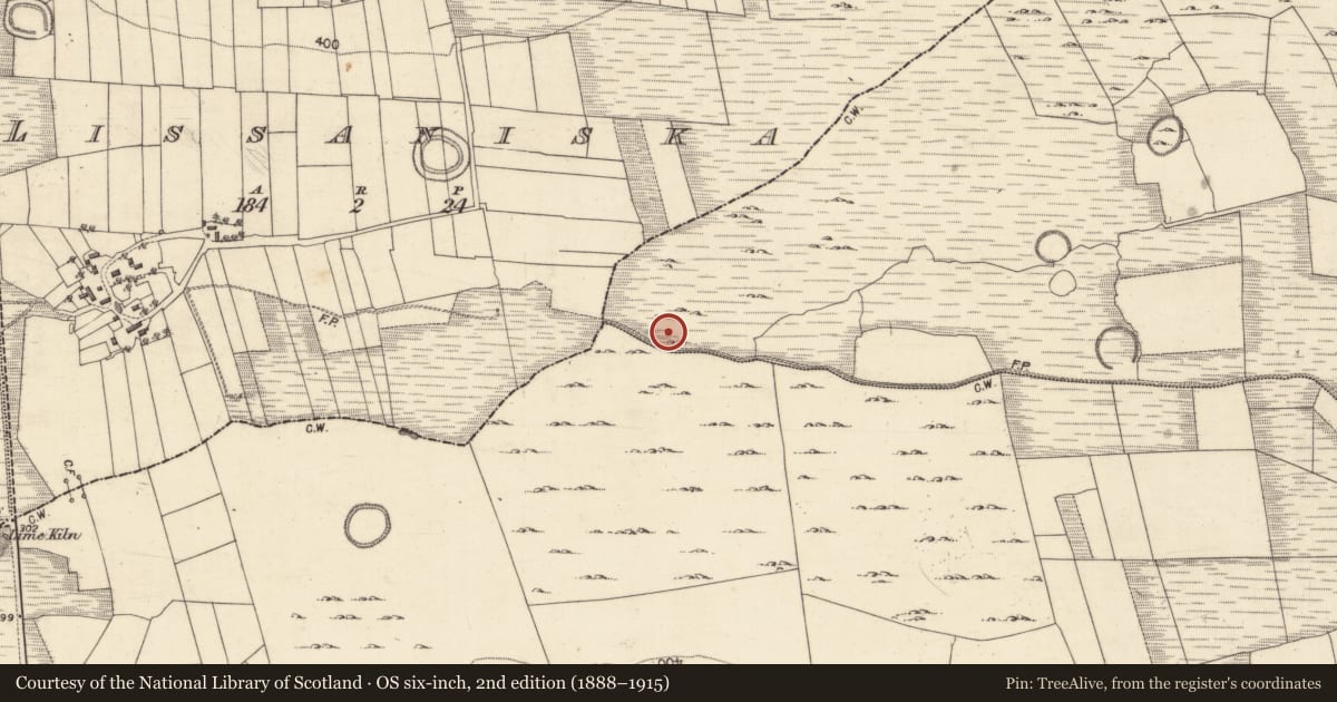 Ordnance Survey six-inch map, 2nd edition (1888–1915) covering the location of Megalithic tomb - wedge tomb, Cahernaglass, County Galway, with a pin at the register's coordinates