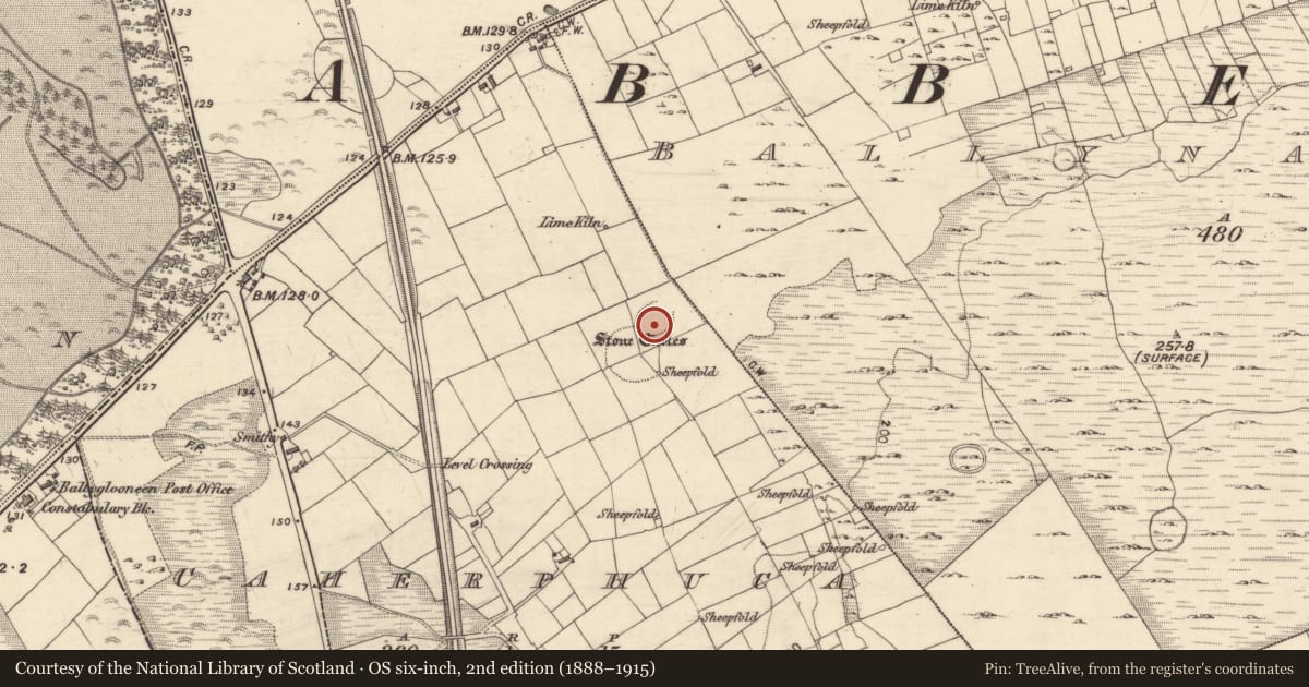 Ordnance Survey six-inch map, 2nd edition (1888–1915) covering the location of Ringfort - cashel, Caherphuca, County Galway, with a pin at the register's coordinates
