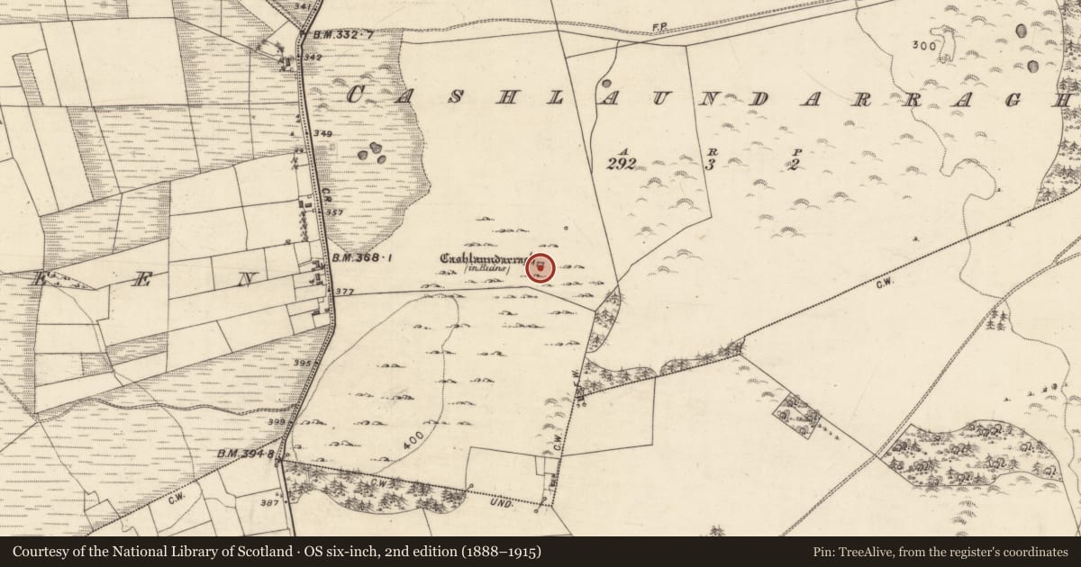 Ordnance Survey six-inch map, 2nd edition (1888–1915) covering the location of Castle - tower house, Cashlaundarragh, County Galway, with a pin at the register's coordinates