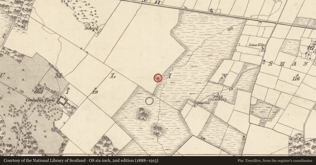 Ordnance Survey six-inch map, 2nd edition (1888–1915) covering the location of Ringfort - unclassified, Crumlin, County Galway, with a pin at the register's coordinates