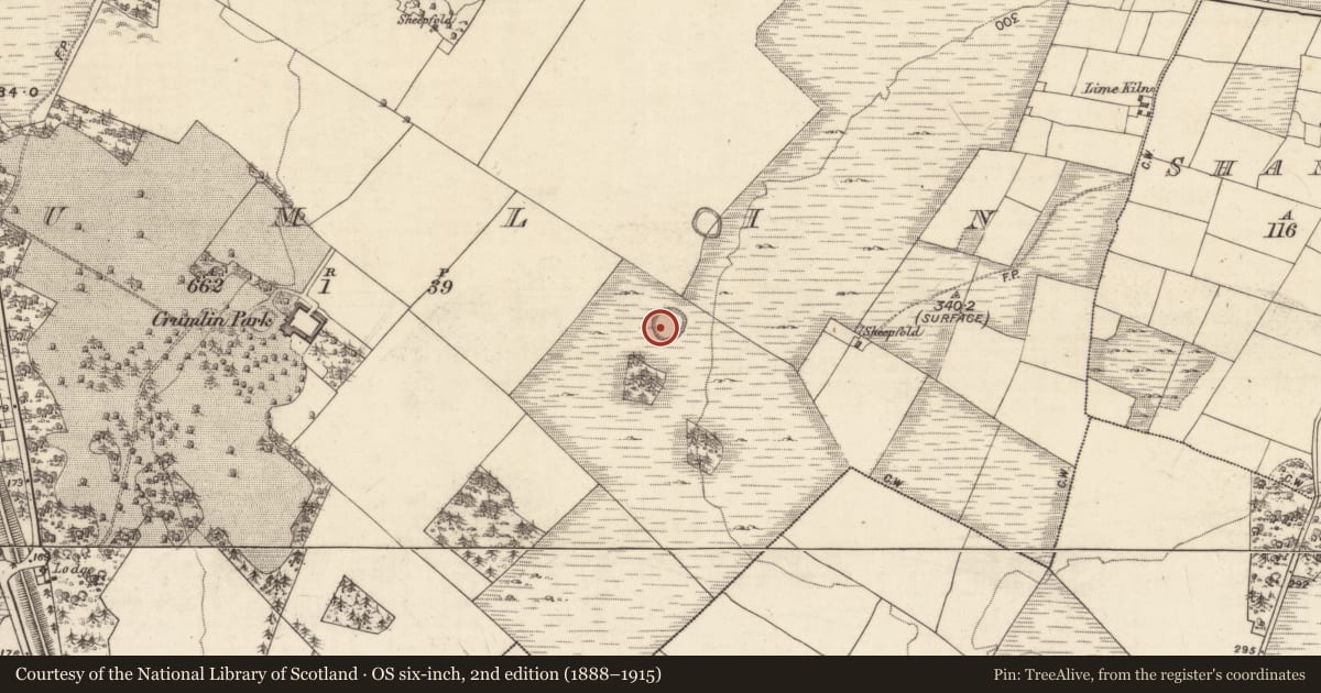 Ordnance Survey six-inch map, 2nd edition (1888–1915) covering the location of Ringfort - unclassified, Crumlin, County Galway, with a pin at the register's coordinates