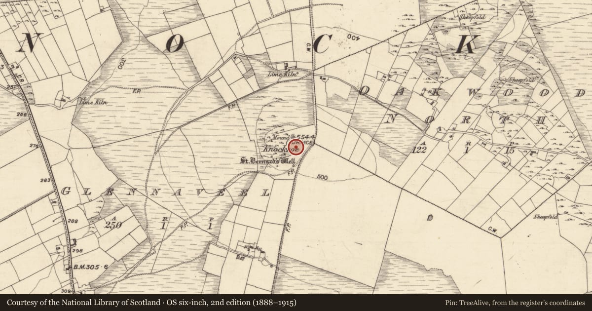 Ordnance Survey six-inch map, 2nd edition (1888–1915) covering the location of Cairn - unclassified, Glennaveel, County Galway, with a pin at the register's coordinates