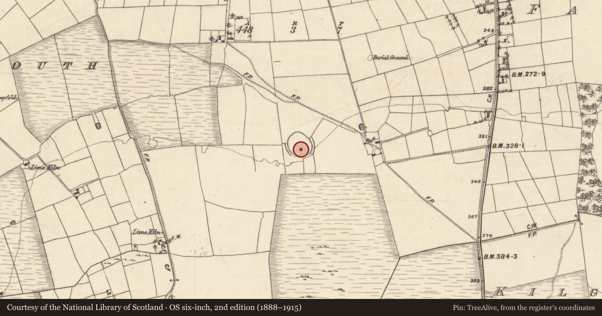 Ordnance Survey six-inch map, 2nd edition (1888–1915) covering the location of Ringfort - rath, Liss, County Galway, with a pin at the register's coordinates
