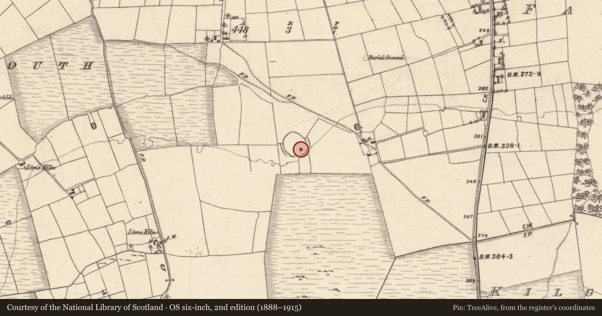 Ordnance Survey six-inch map, 2nd edition (1888–1915) covering the location of Children's burial ground, Liss, County Galway, with a pin at the register's coordinates