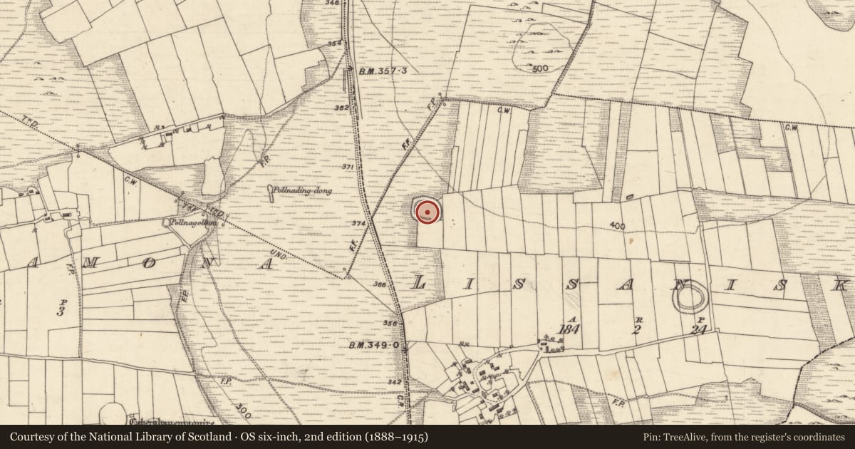 Ordnance Survey six-inch map, 2nd edition (1888–1915) covering the location of Ringfort - unclassified, Lissaniska, County Galway, with a pin at the register's coordinates