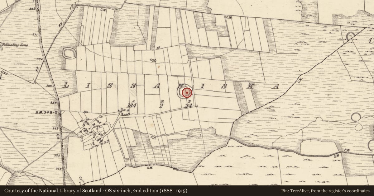 Ordnance Survey six-inch map, 2nd edition (1888–1915) covering the location of Ringfort - rath, Lissaniska, County Galway, with a pin at the register's coordinates
