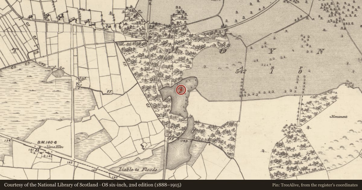 Ordnance Survey six-inch map, 2nd edition (1888–1915) covering the location of Earthwork, Moyne, County Galway, with a pin at the register's coordinates