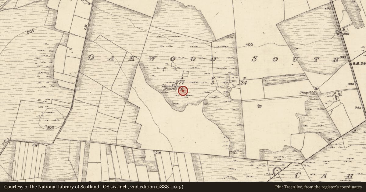Ordnance Survey six-inch map, 2nd edition (1888–1915) covering the location of Earthwork, Oakwood South, County Galway, with a pin at the register's coordinates