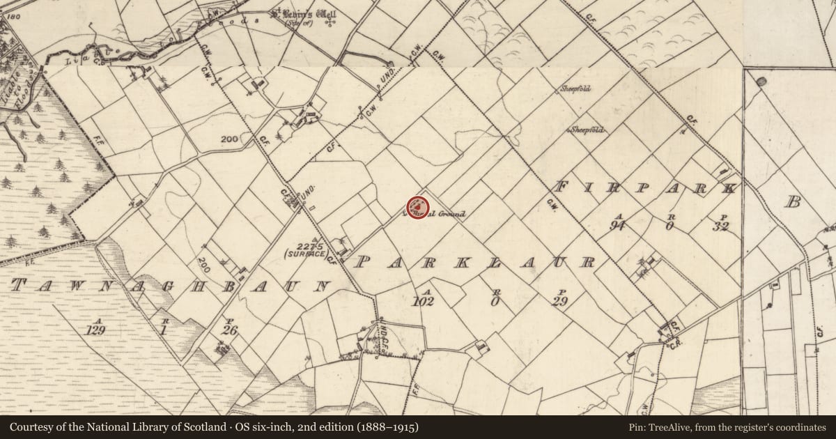 Ordnance Survey six-inch map, 2nd edition (1888–1915) covering the location of Children's burial ground, Parklaur, County Galway, with a pin at the register's coordinates