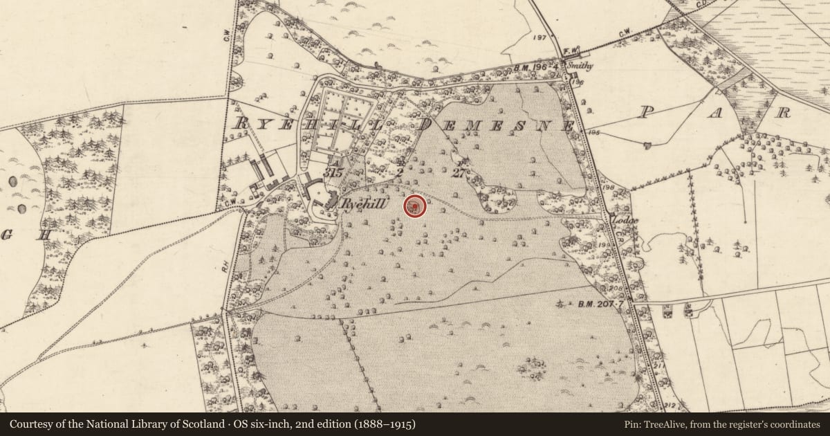 Ordnance Survey six-inch map, 2nd edition (1888–1915) covering the location of Designed landscape - tree-ring, Ryehill Demesne, County Galway, with a pin at the register's coordinates