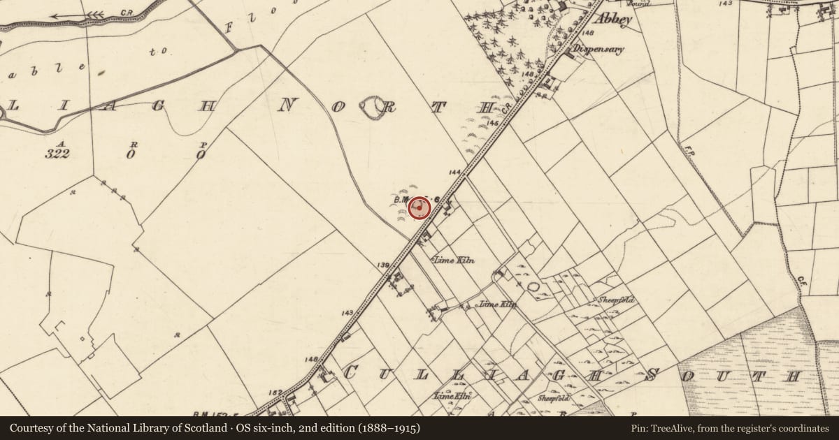Ordnance Survey six-inch map, 2nd edition (1888–1915) covering the location of Ringfort - rath, Culliagh North, County Galway, with a pin at the register's coordinates