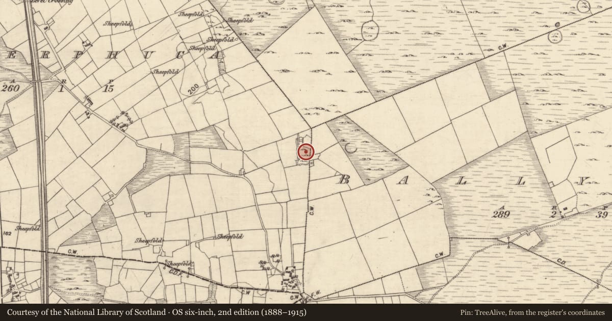 Ordnance Survey six-inch map, 2nd edition (1888–1915) covering the location of House - indeterminate date, Caherphuca, County Galway, with a pin at the register's coordinates