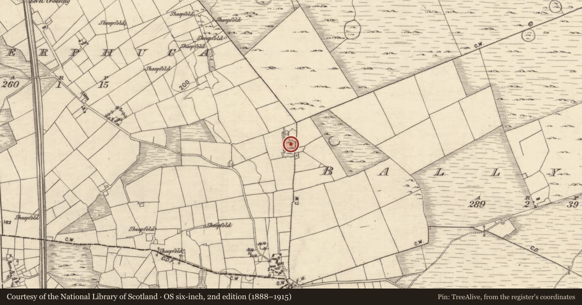Ordnance Survey six-inch map, 2nd edition (1888–1915) covering the location of House - indeterminate date, Caherphuca, County Galway, with a pin at the register's coordinates
