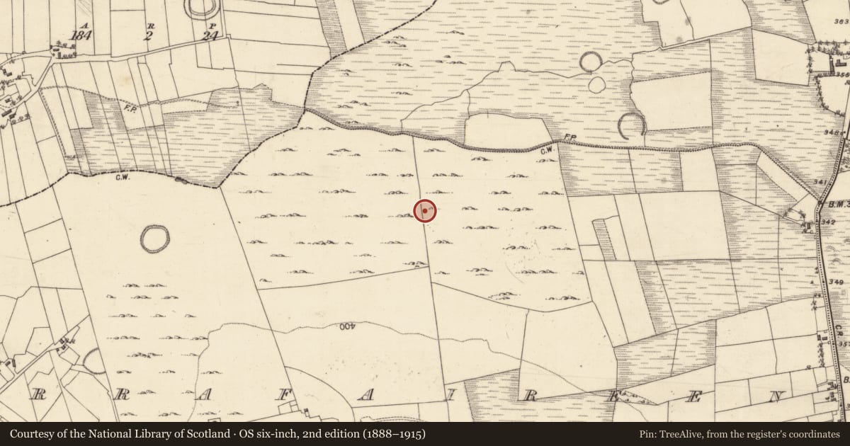 Ordnance Survey six-inch map, 2nd edition (1888–1915) covering the location of Field system, Corrafaireen, County Galway, with a pin at the register's coordinates