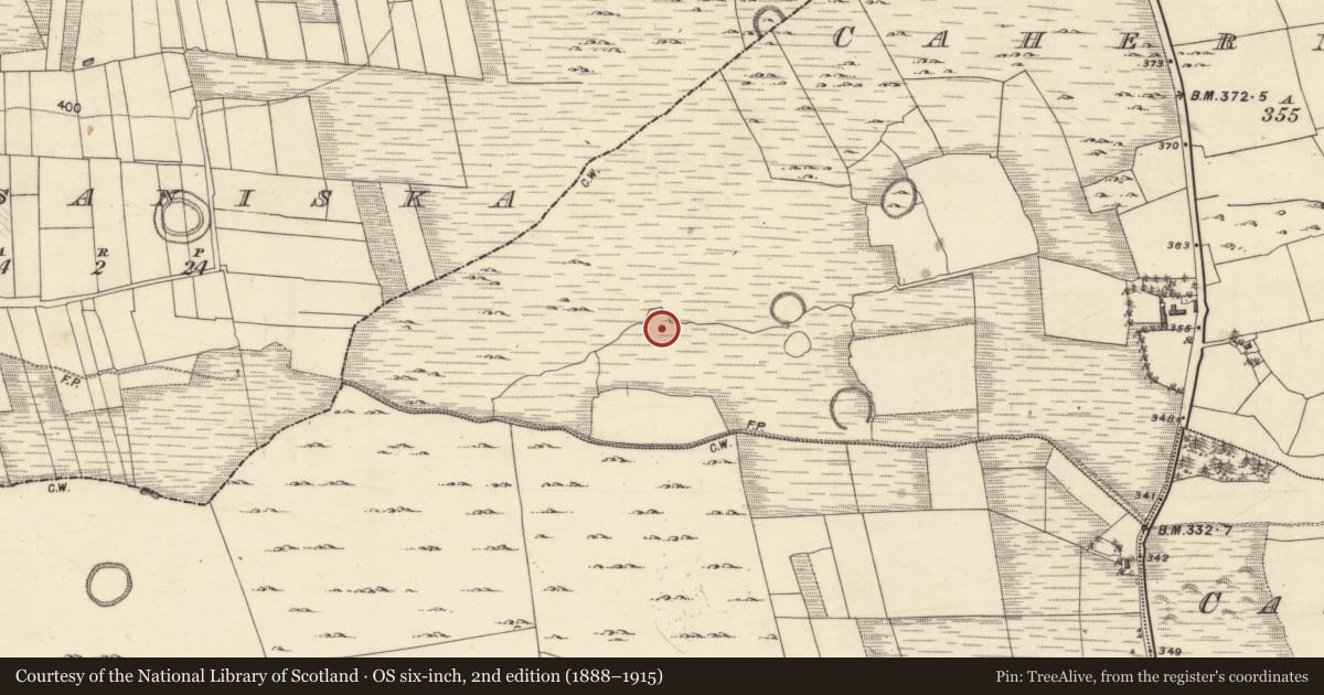 Ordnance Survey six-inch map, 2nd edition (1888–1915) covering the location of Ringfort - cashel, Cahernaglass, County Galway, with a pin at the register's coordinates