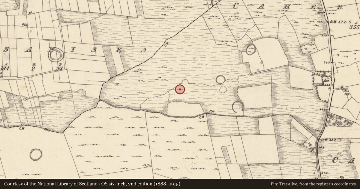 Ordnance Survey six-inch map, 2nd edition (1888–1915) covering the location of Field system, Cahernaglass, County Galway, with a pin at the register's coordinates